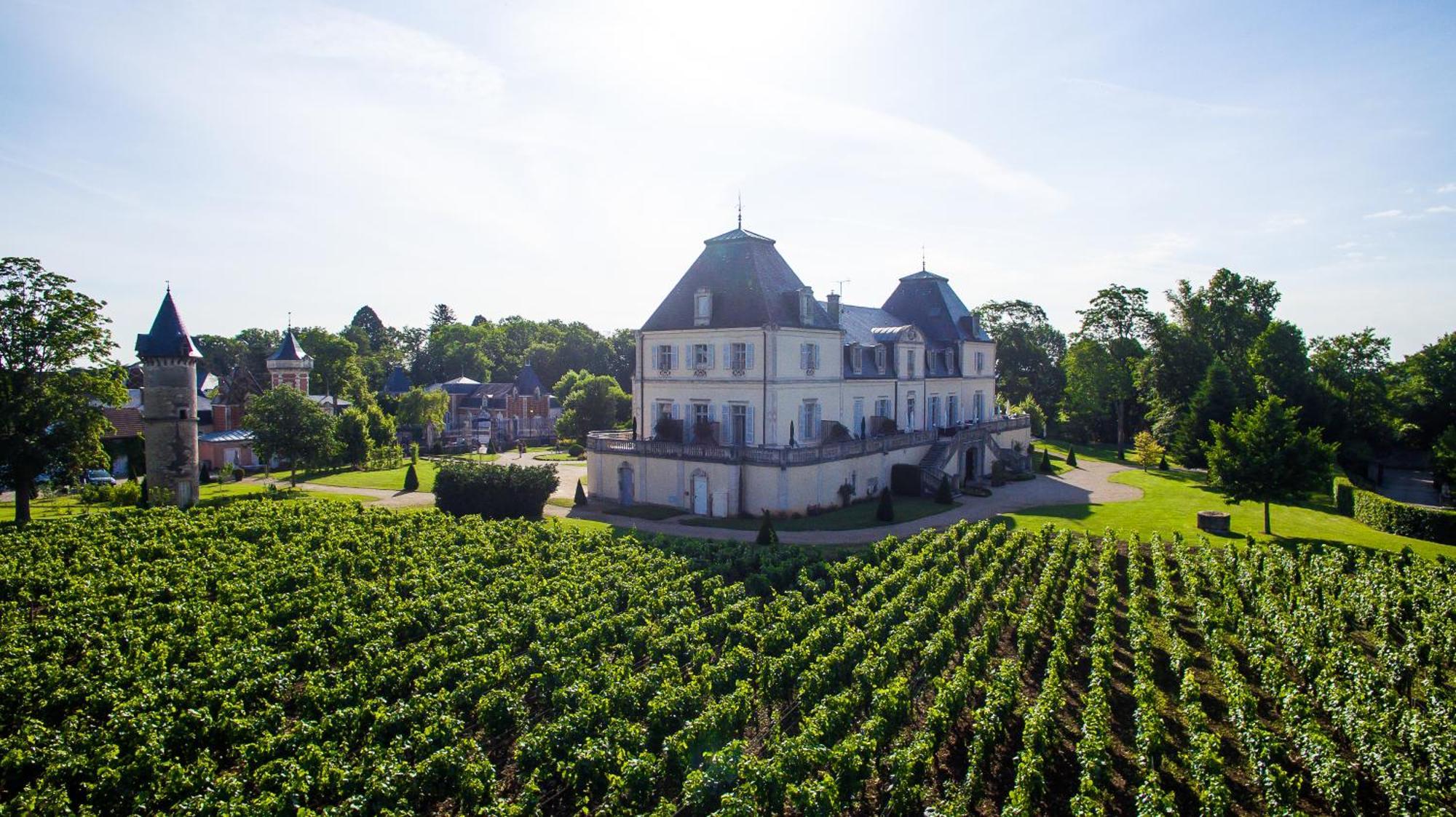 Chateau & Spa De La Cueillette Meursault Dış mekan fotoğraf