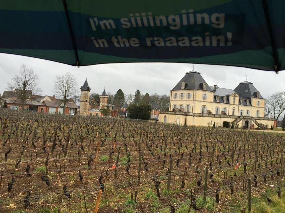 Chateau & Spa De La Cueillette Meursault Dış mekan fotoğraf